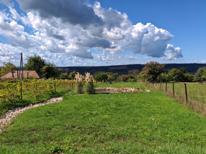 Liebevoll renoviertes kleines Landhaus bei Héviz mit eigenem Warmwasser-Brunnen
