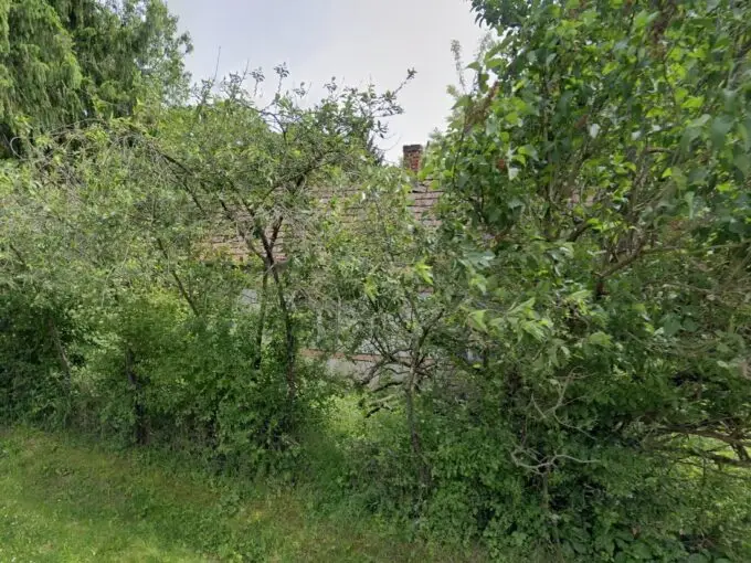 2 Baugrundstücke zum Peis von einem (CM169)